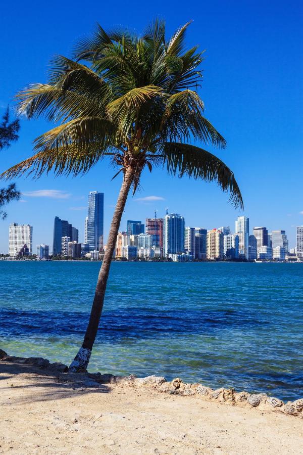 Enchanting Cozy Apartment 10 Min Away From Airport, Calle 8, Brickell, Coral Gables, The Beach And More! Майами Экстерьер фото